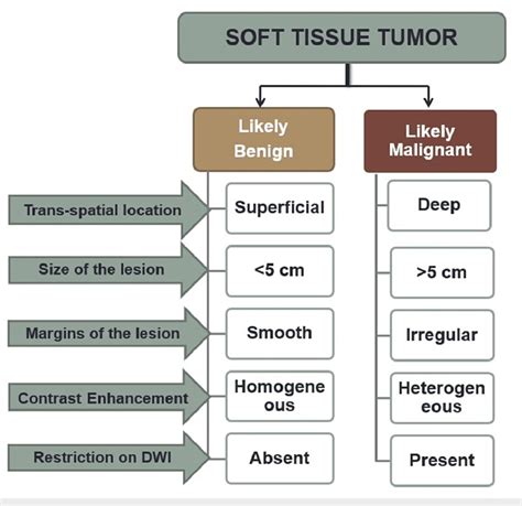 soft tissue characterization techniques